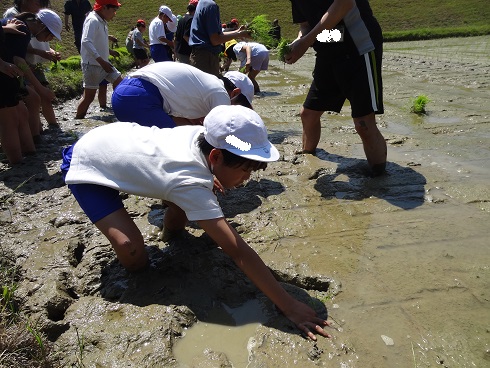 070514taue03