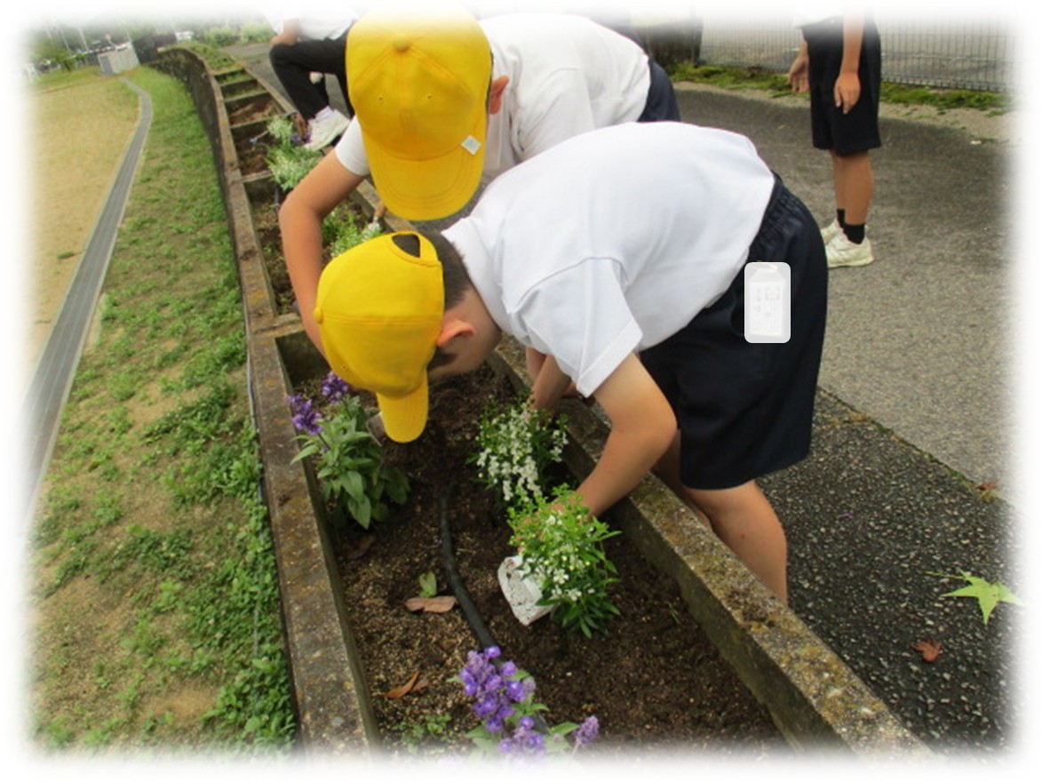 花植え2