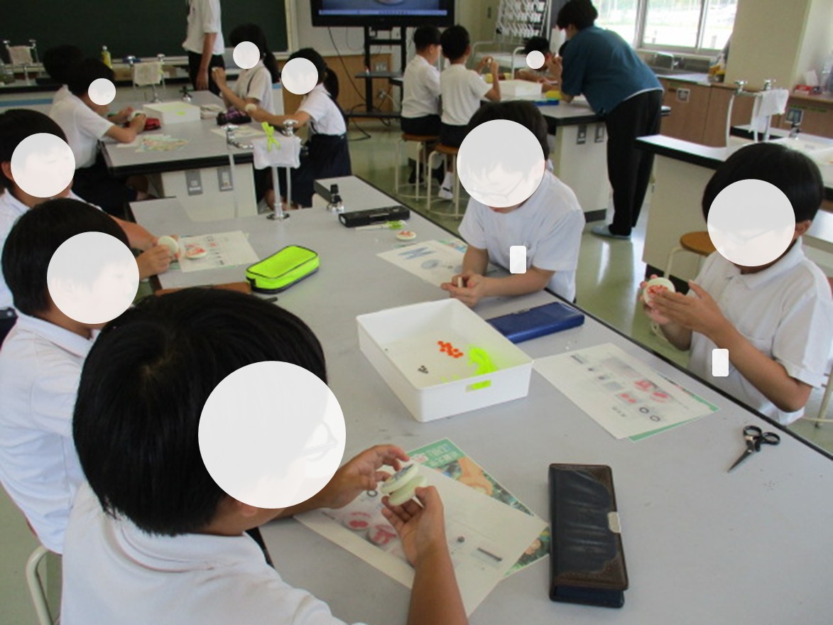 科学の芽育成講座