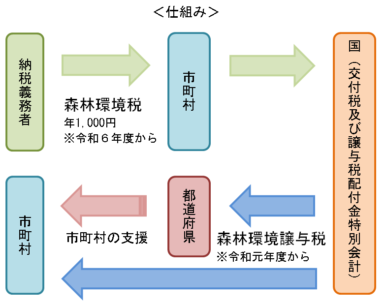 森林環境税の仕組み