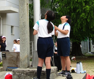 080523roku11