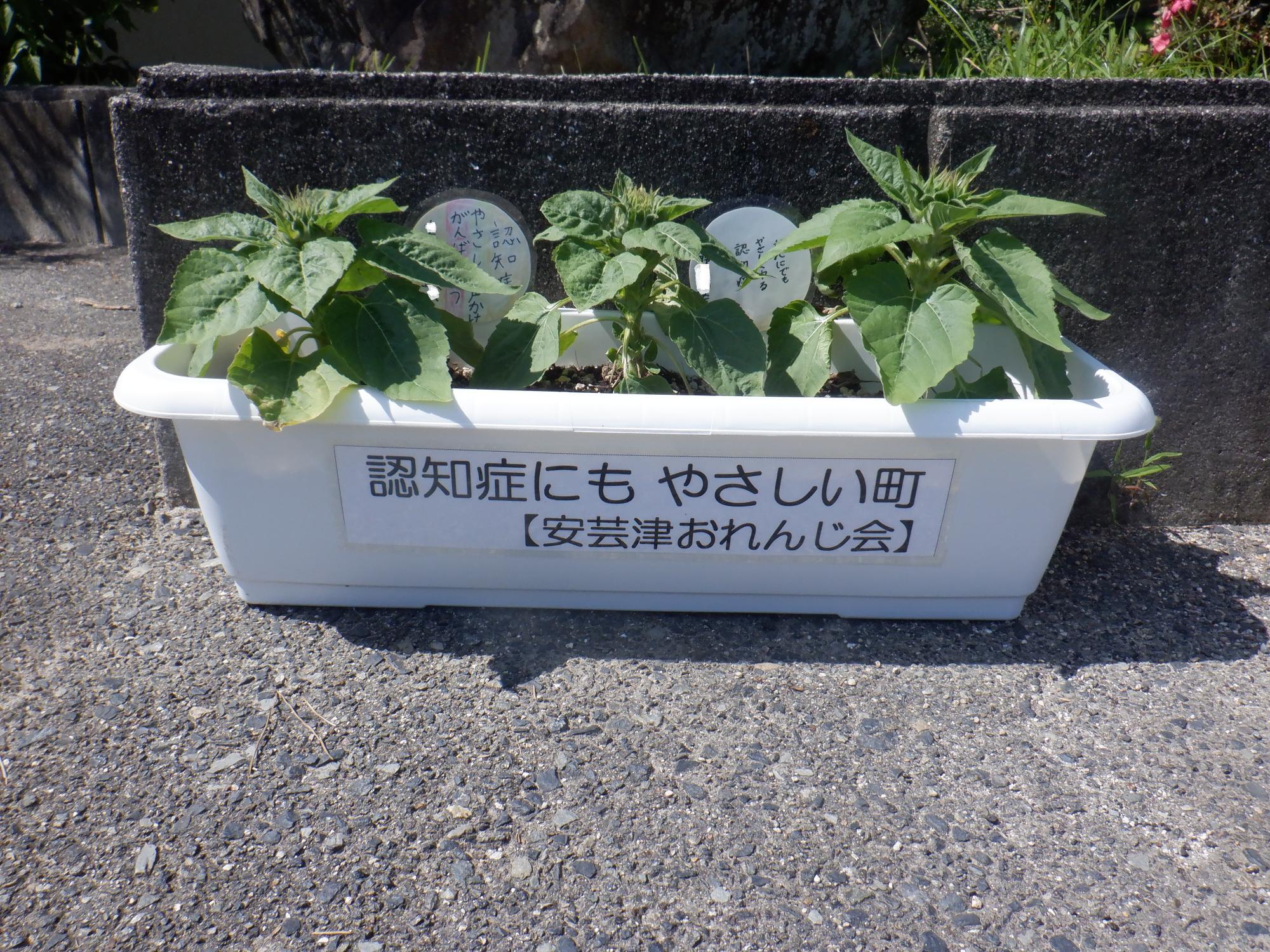080706ninnti02