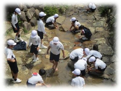 憩いの森で児童が水遊びしている様子