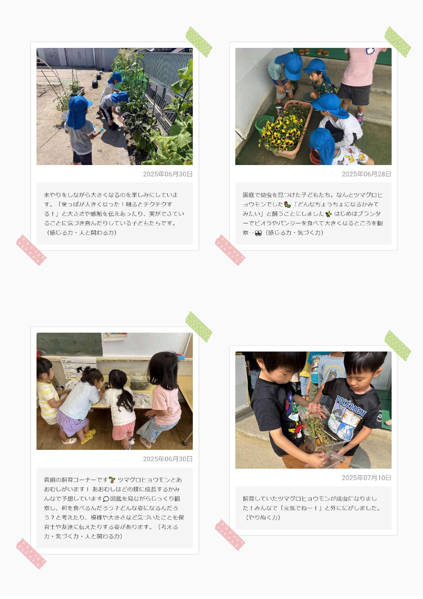 おたより