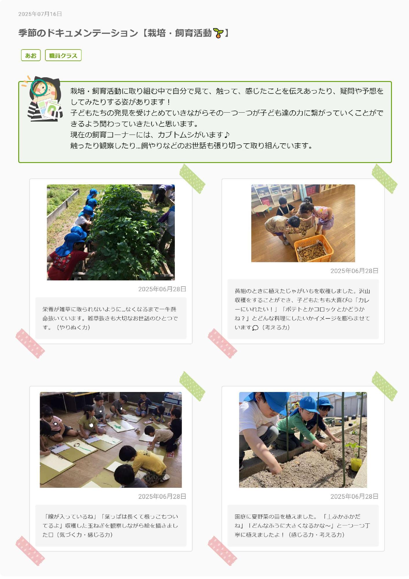 おたより