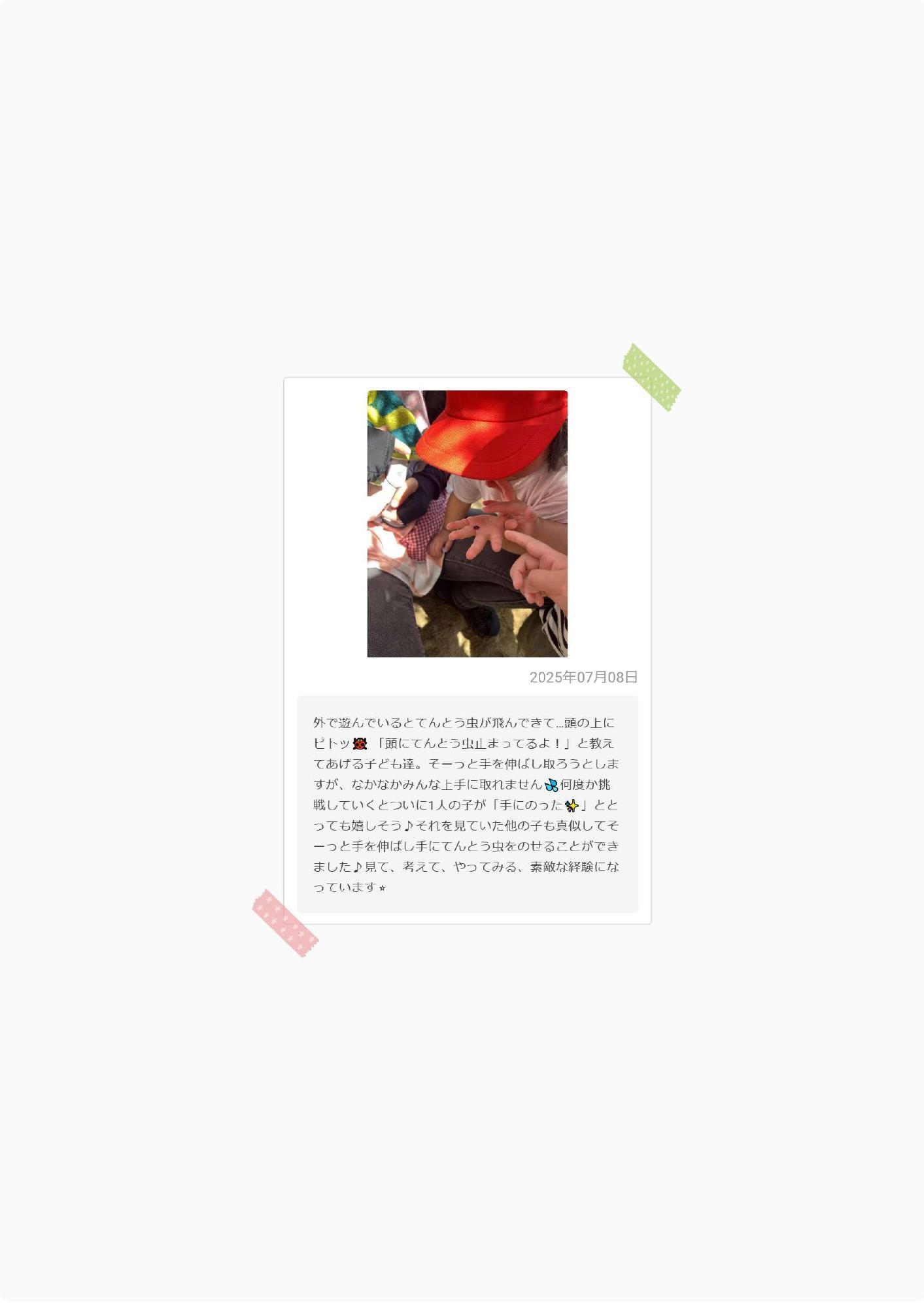 おたより