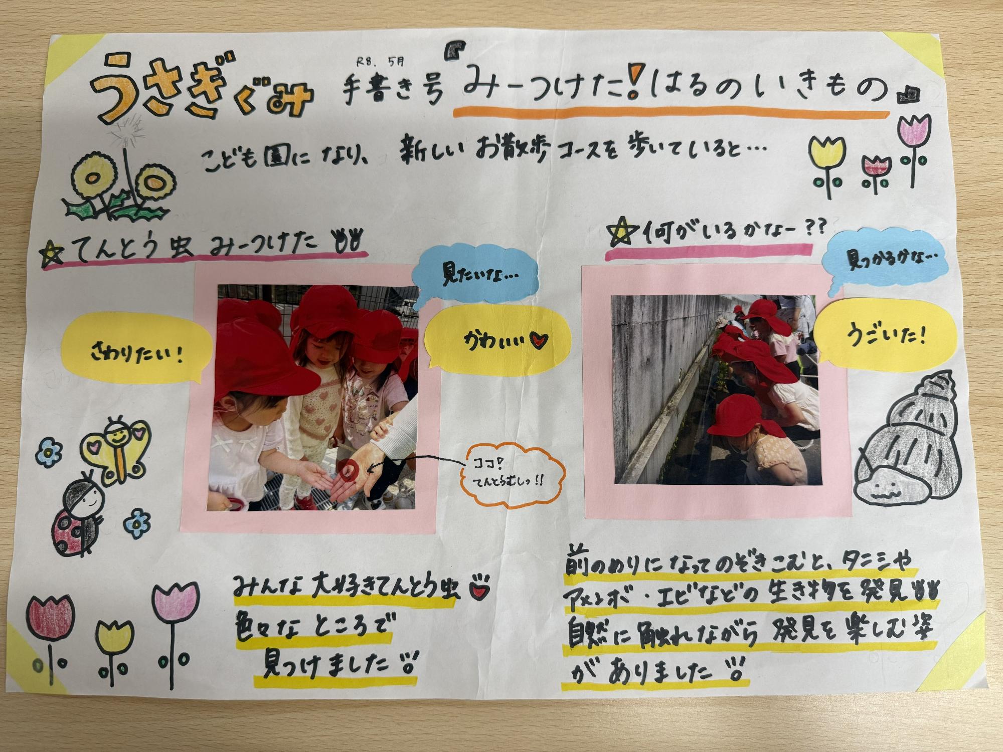 うさぎ4.5月ドキュメンテーション