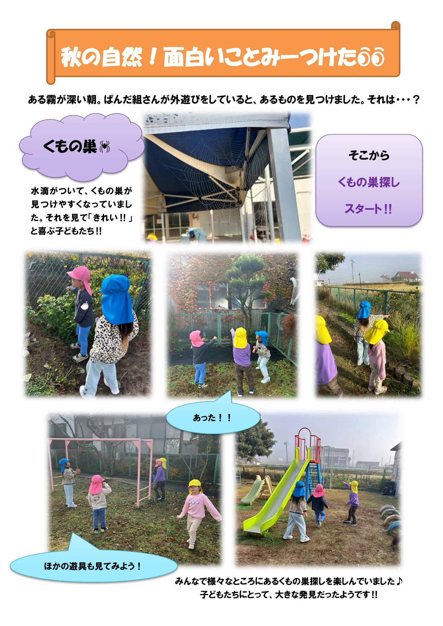 秋の自然おもしろいことみつけた