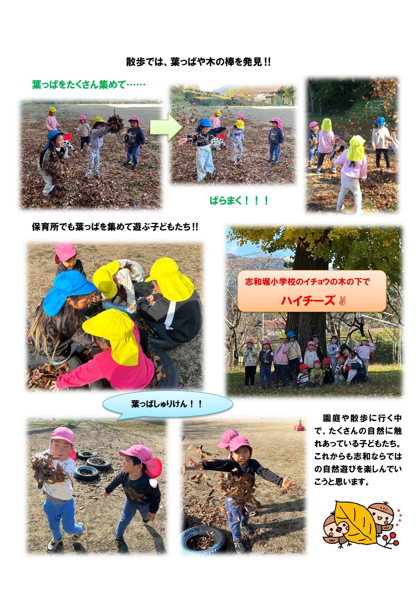 秋の自然おもしろいことみつけた2