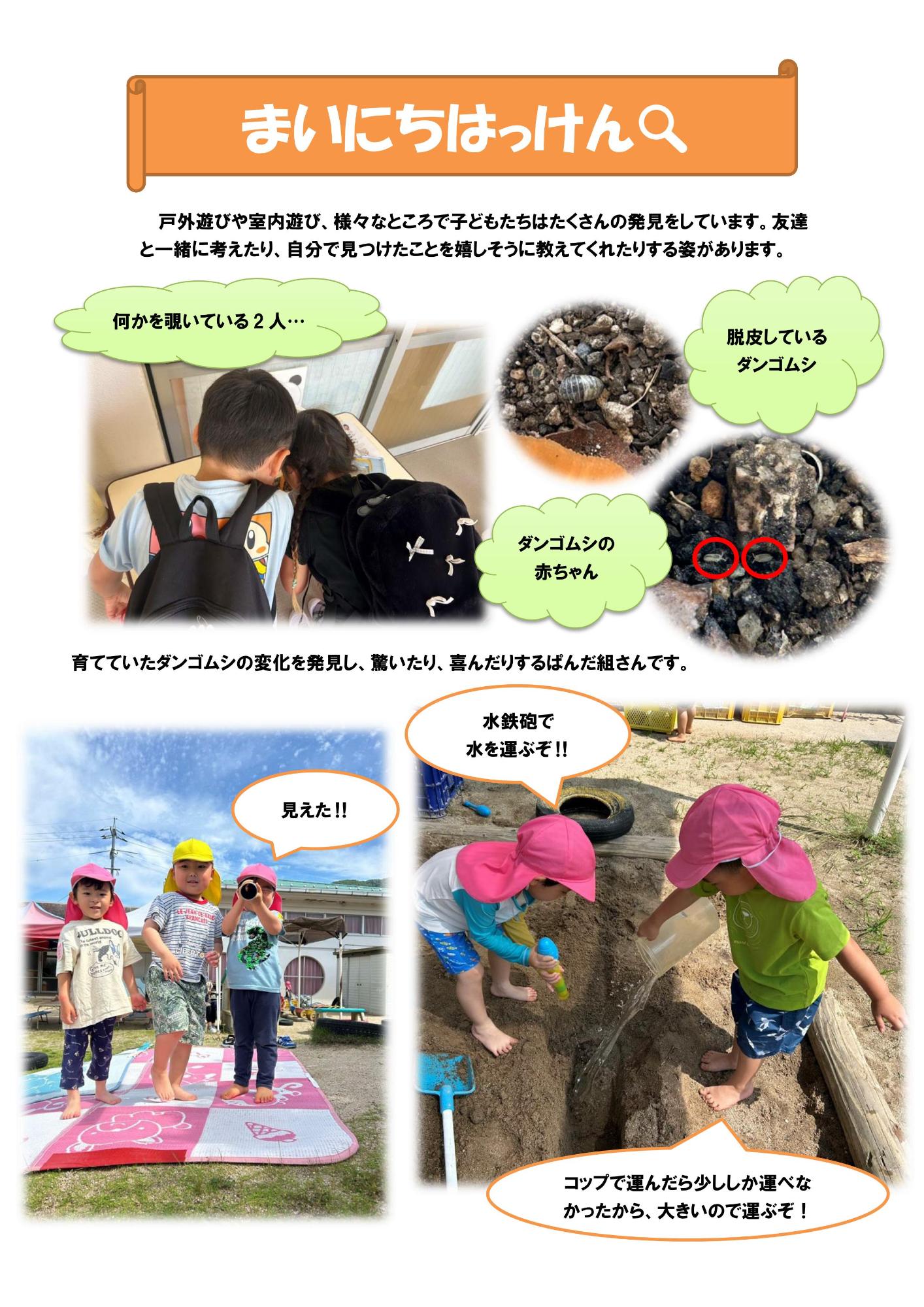 まいにちはっけん