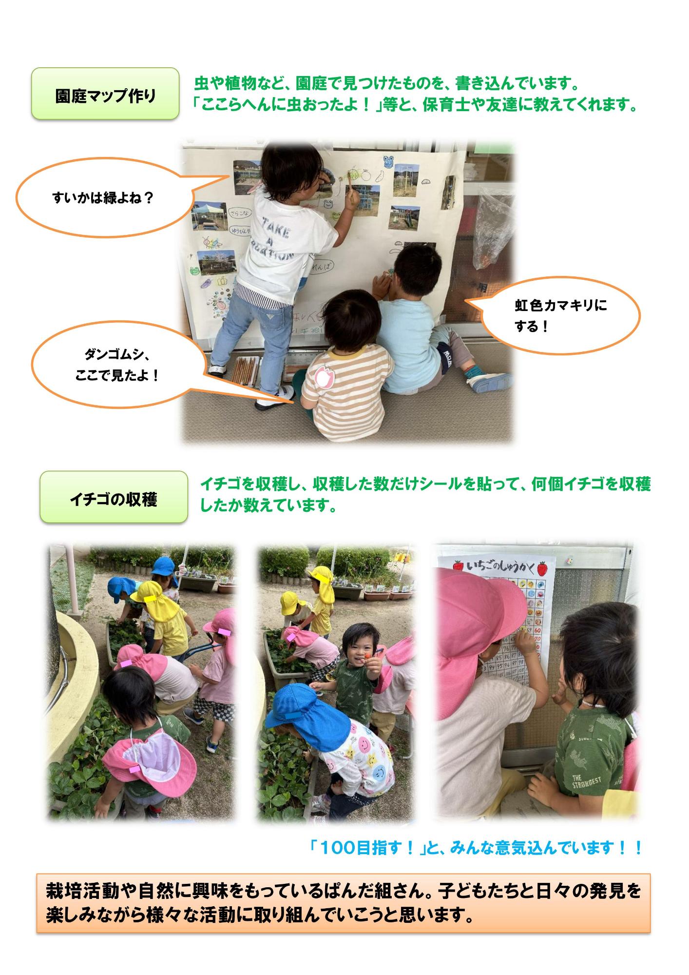 大きくな~れ2