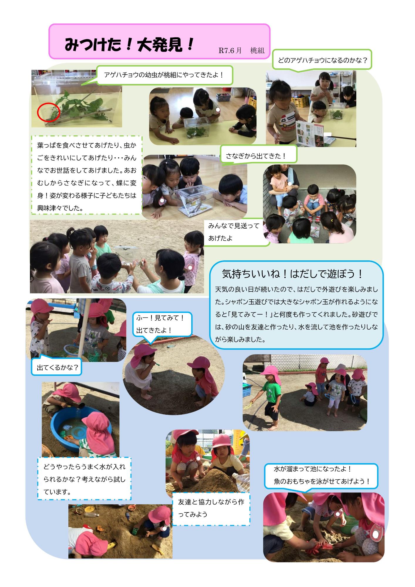 ドキュメンテーション6月桃組