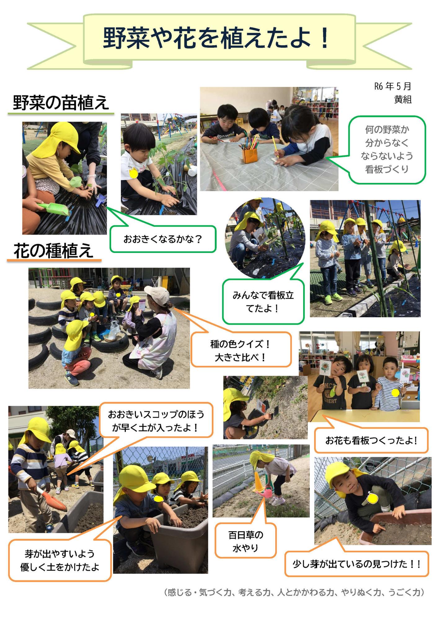 ドキュメンテーション5月黄組