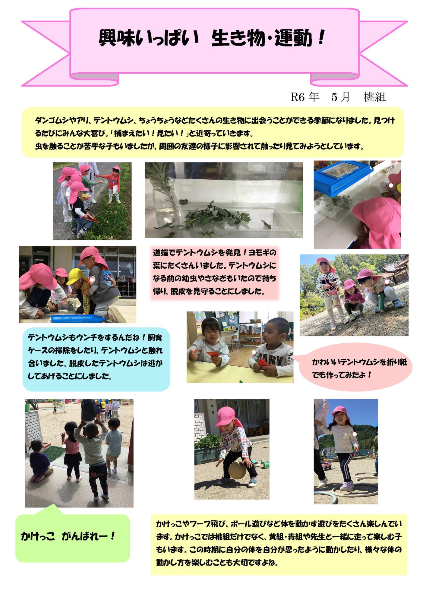 ドキュメンテーション5月桃組