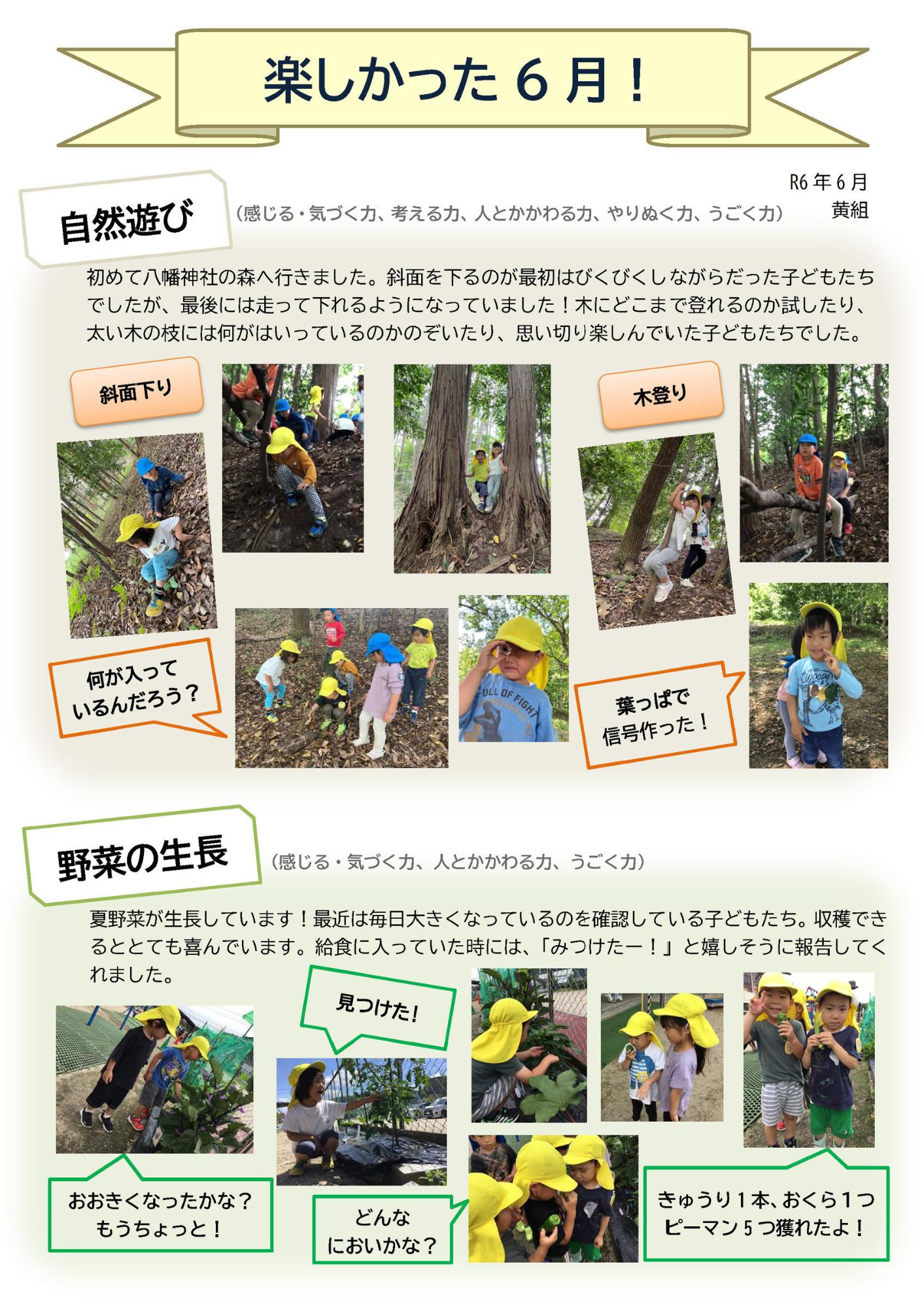 ドキュメンテーション6月黄組