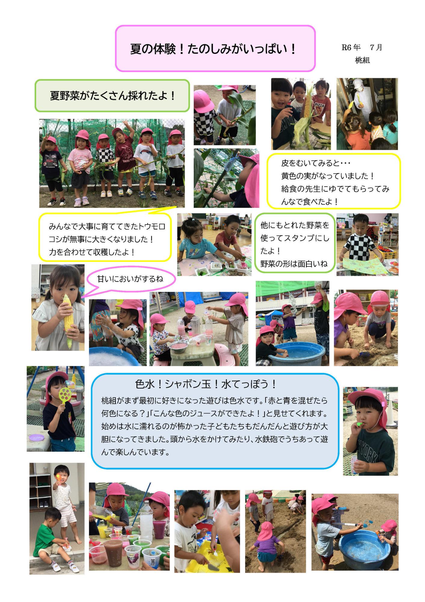 ドキュメンテーション7月桃組