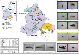 黒瀬川・瀬野川・三津大川水系の特徴の紹介の地図