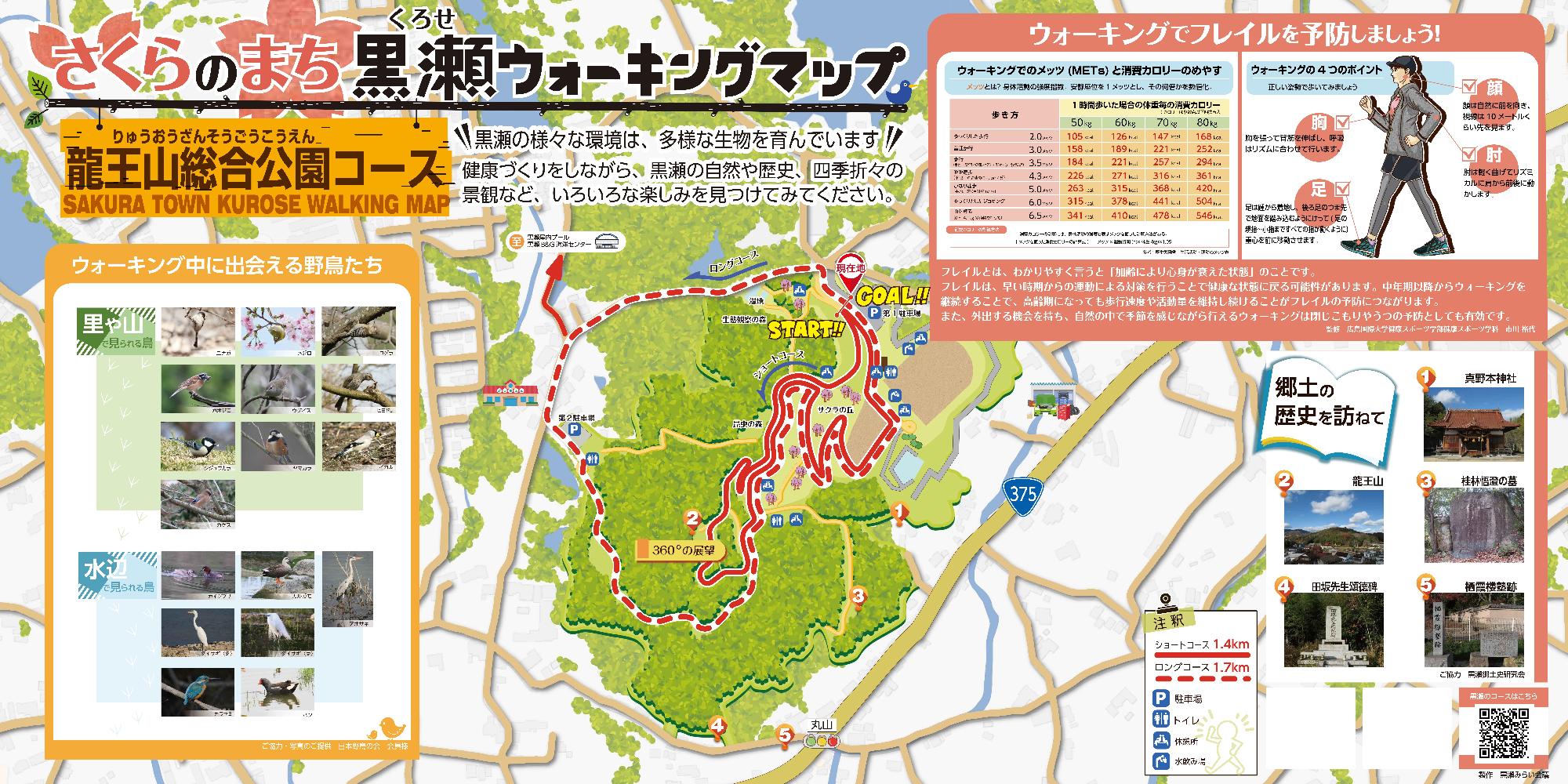 龍王山総合公園コース