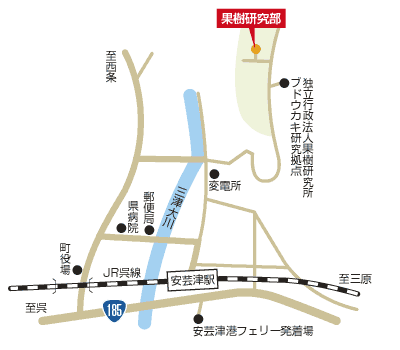 農業技術センター果樹研究所地図のイラスト