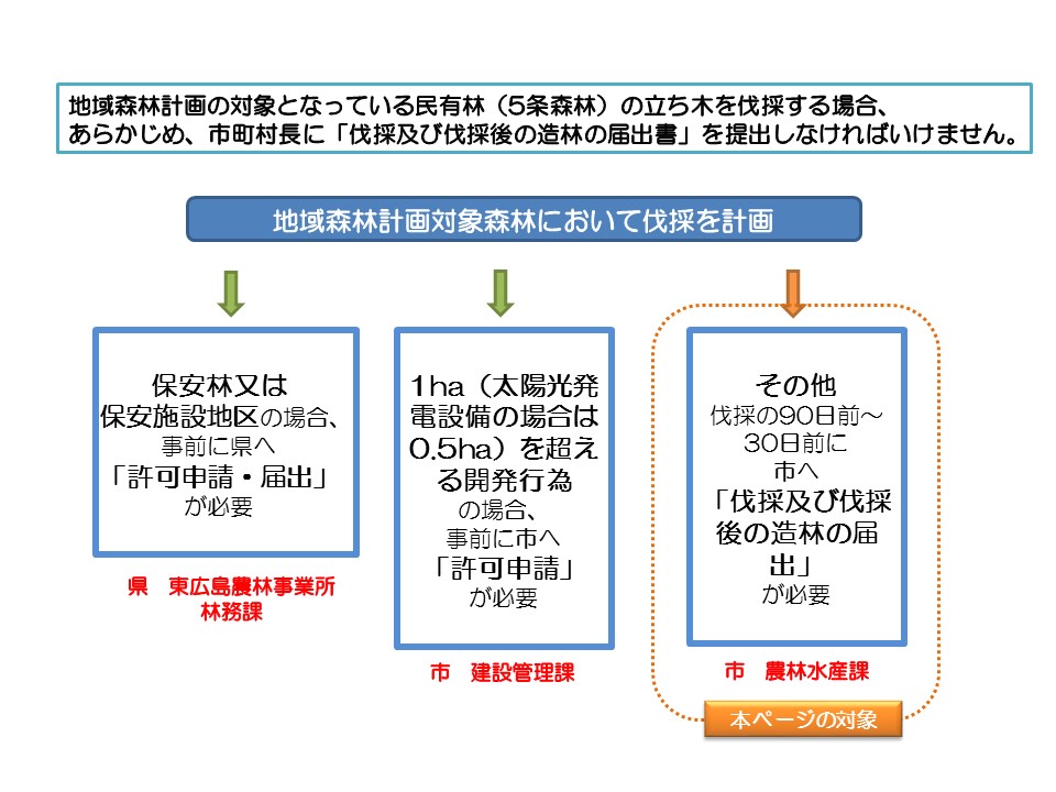 伐採の流れ