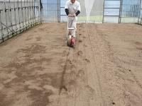 葉物野菜の種まき作業