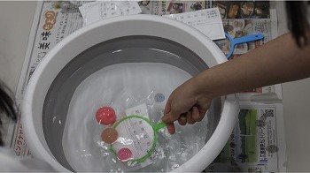 金魚すくいの実験の様子