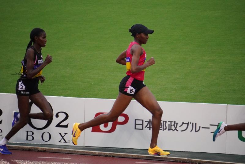 ガテリ・テレシア・ムッソーニ