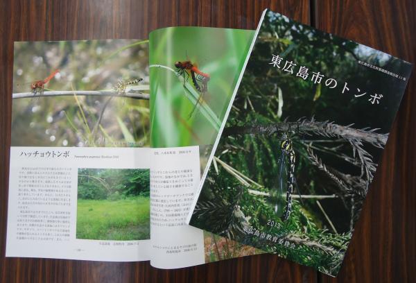 『東広島市のトンボ』の写真