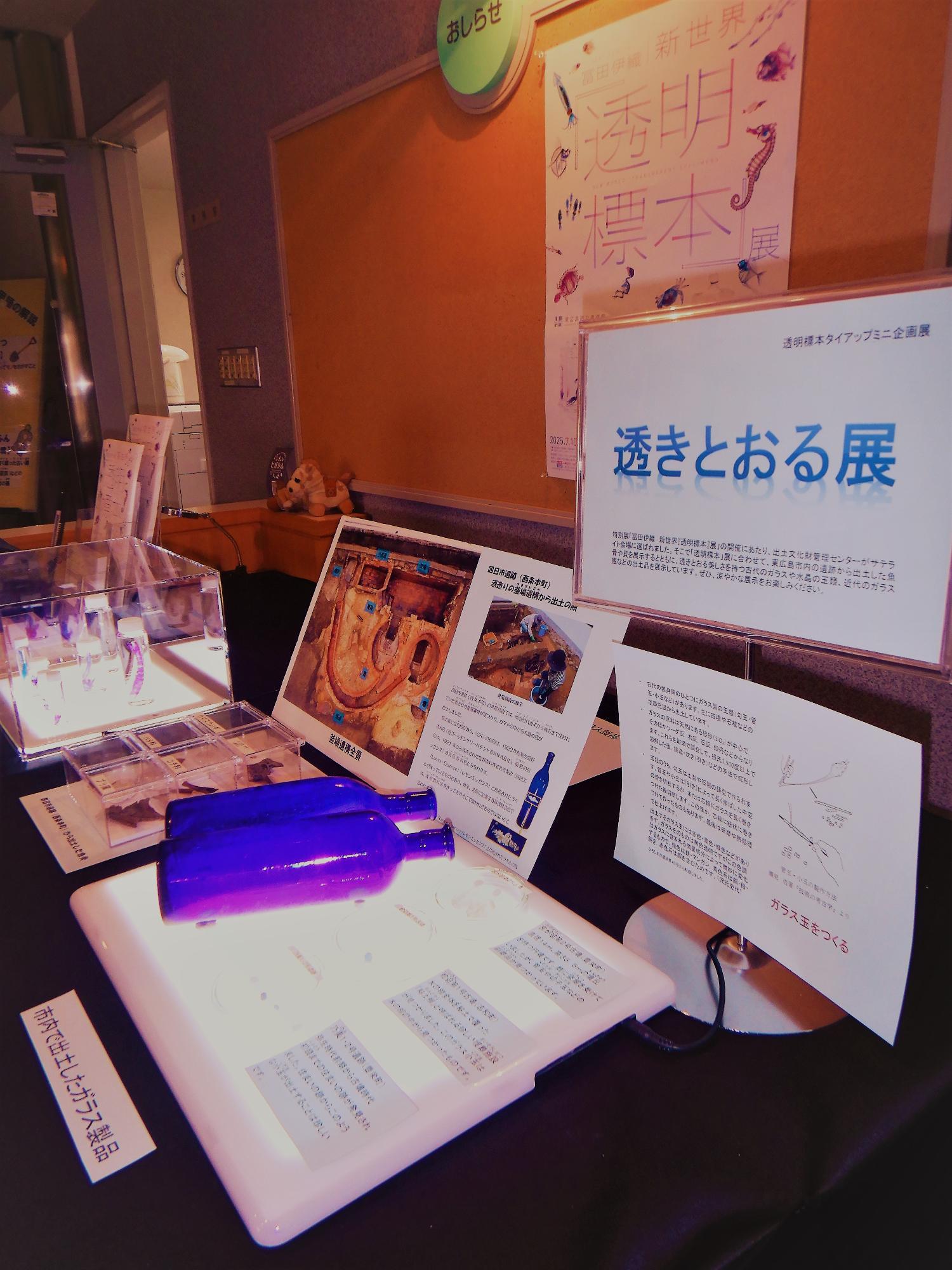 透きとおる展