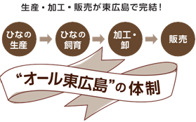 オール東広島の体制