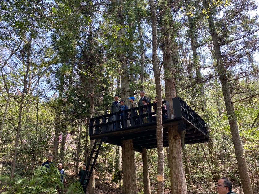 森の中のスギの木を生かしたツリーハウス