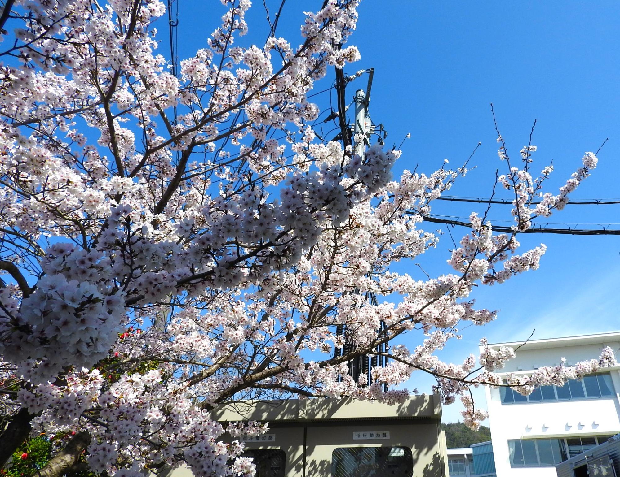 新校舎完成セレモニー1