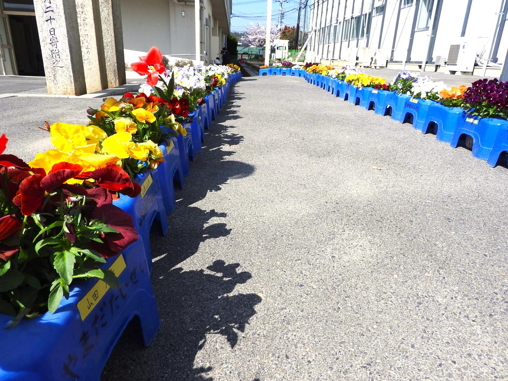 新6年生による入学準備の様子5