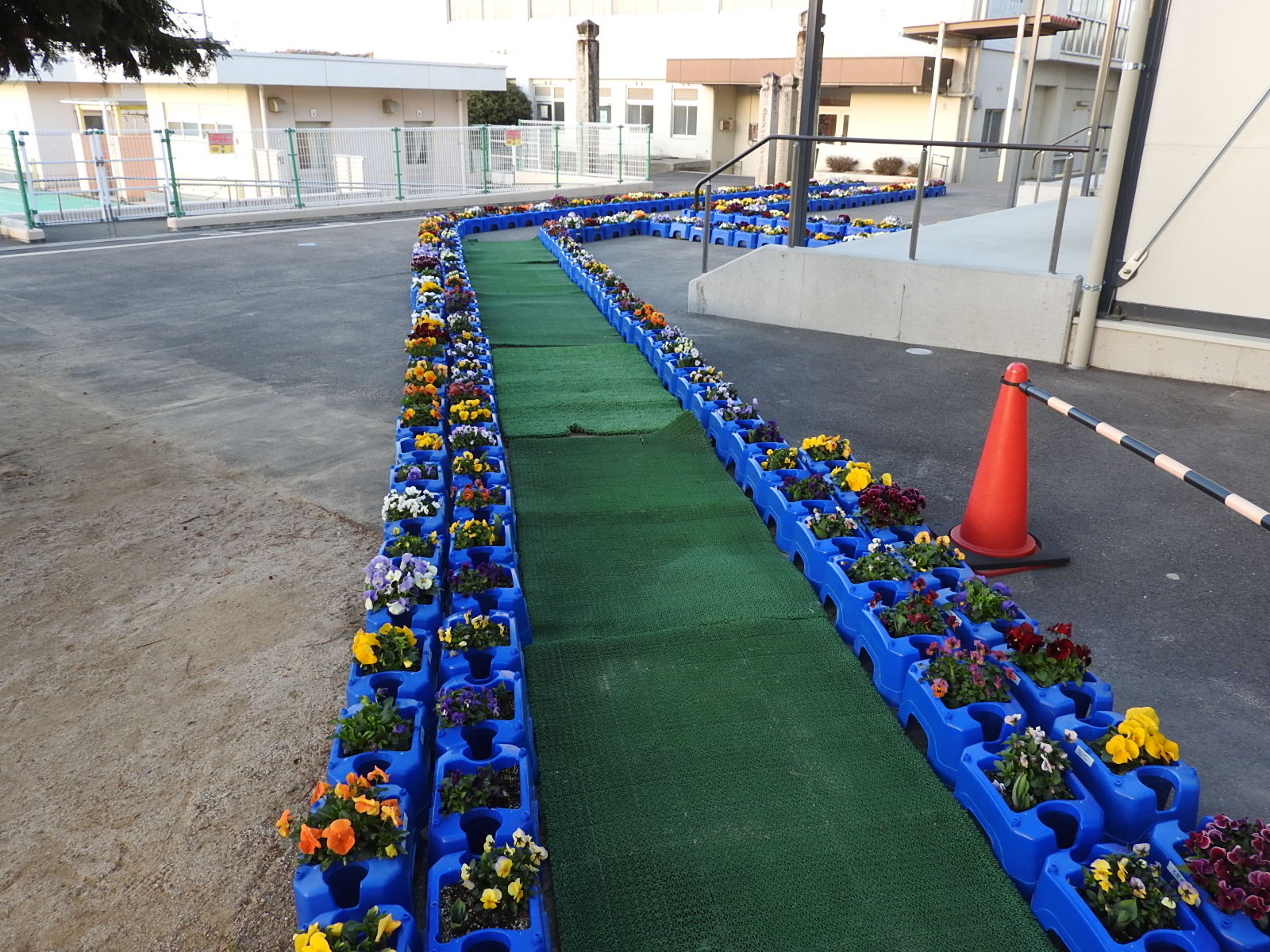 卒業を祝う掲示7