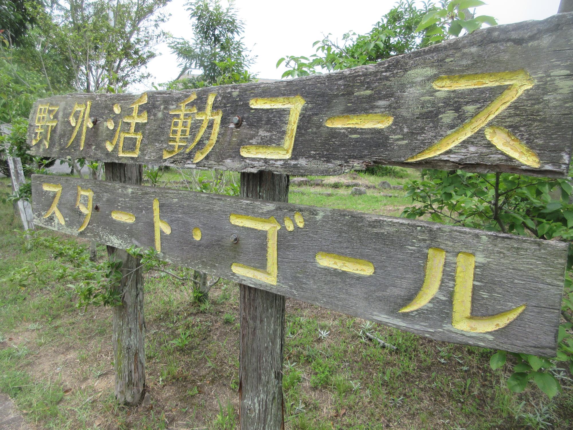 野外活動の様子22