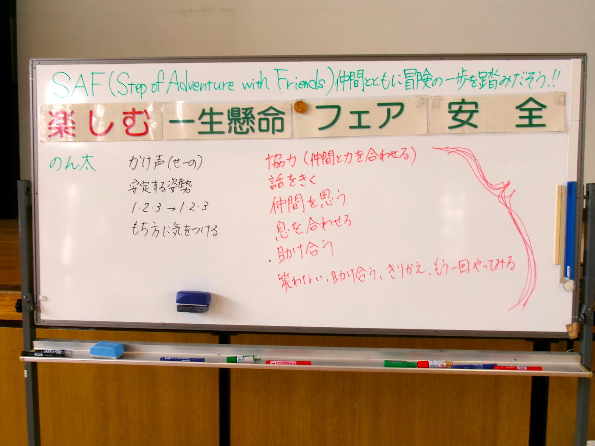 SAFで学んだこと