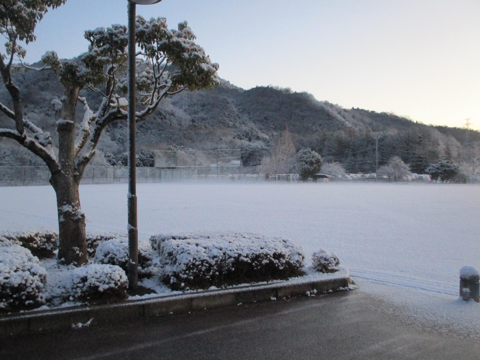 070108雪3