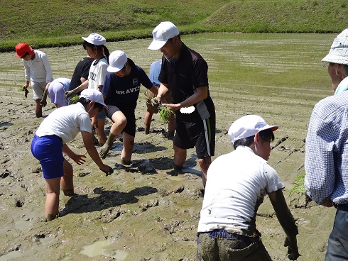 070514taue06