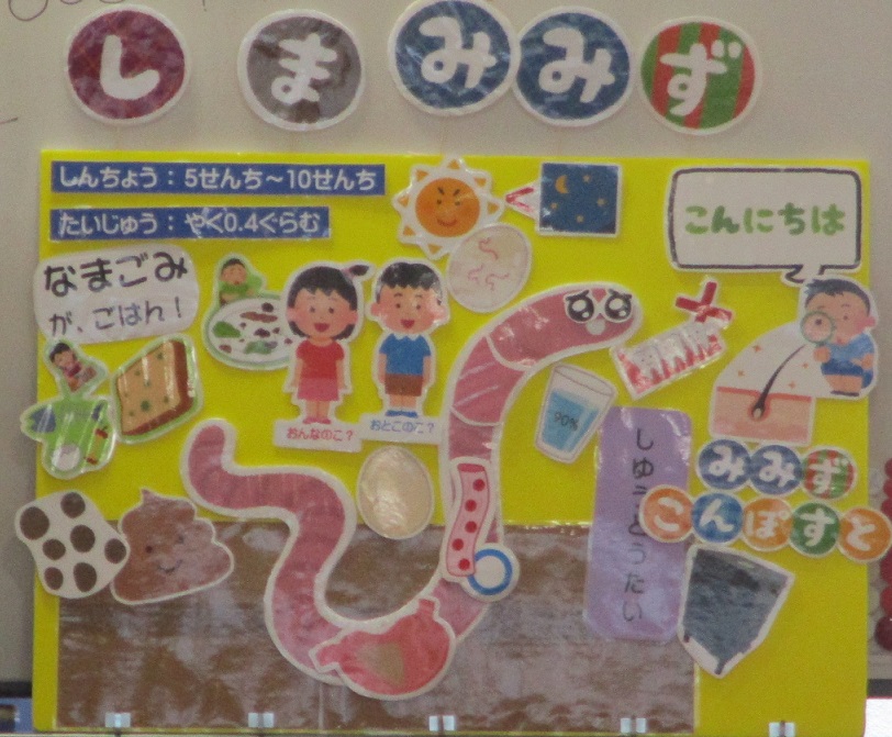 ミミズ6