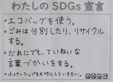 sengen9