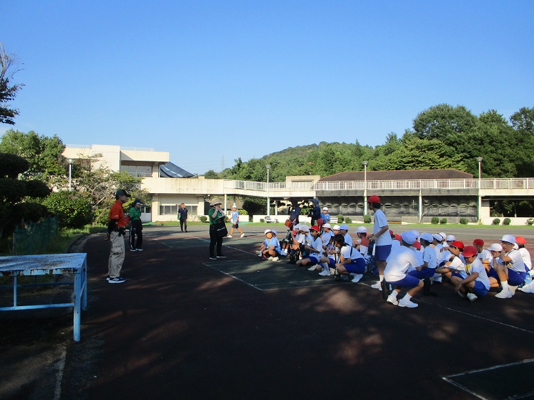 野外11