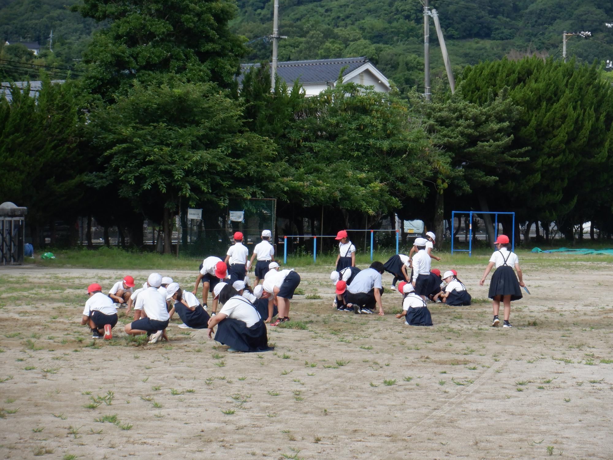 080703ryokkachoukai02