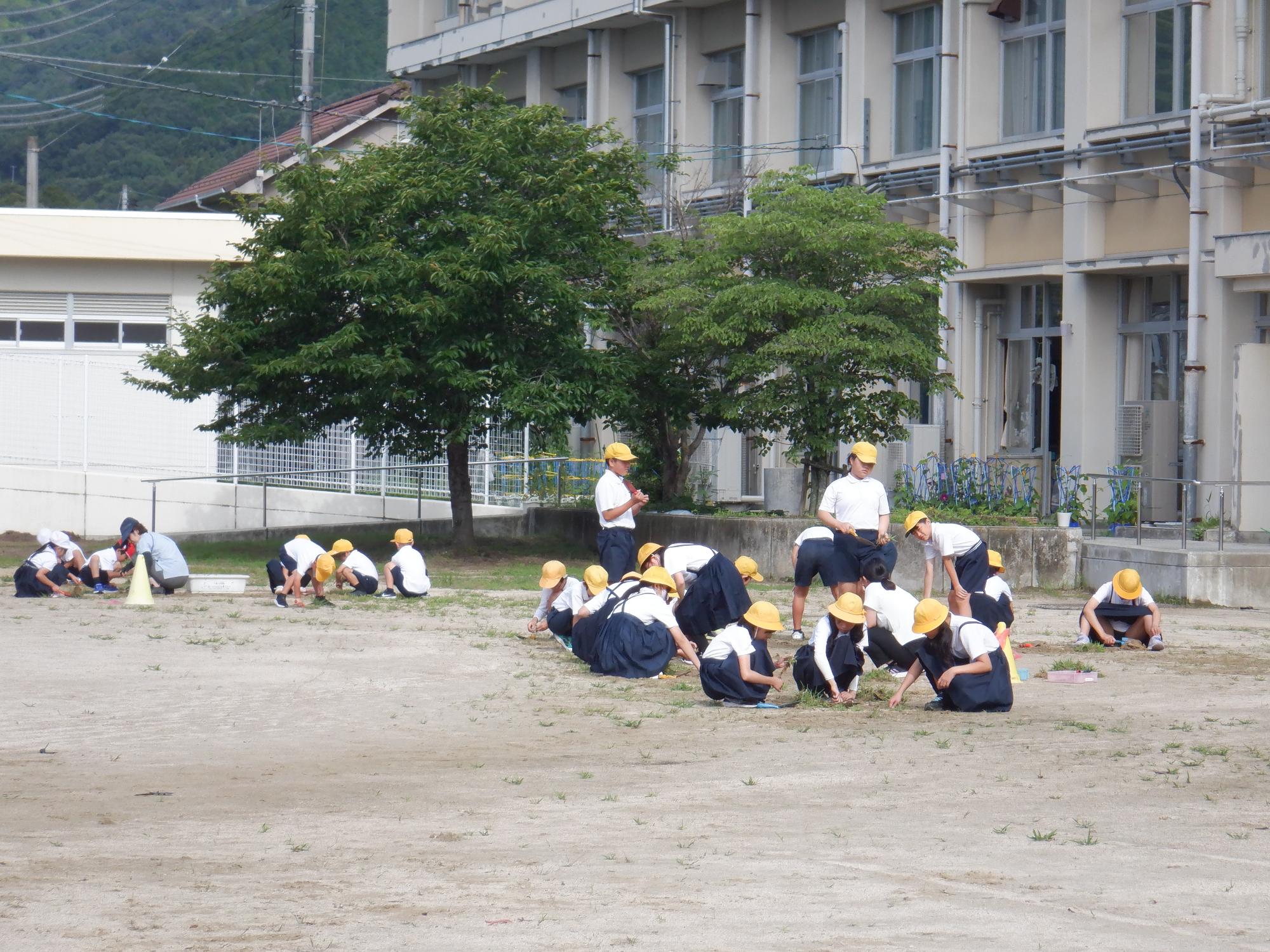 080703ryokkachoukai03