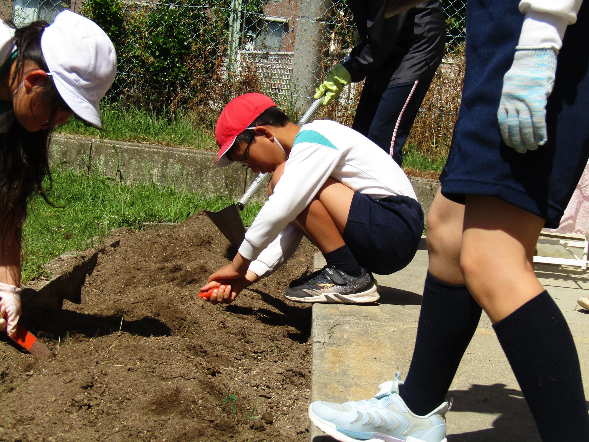 2年生と一緒に学級園を耕す児童