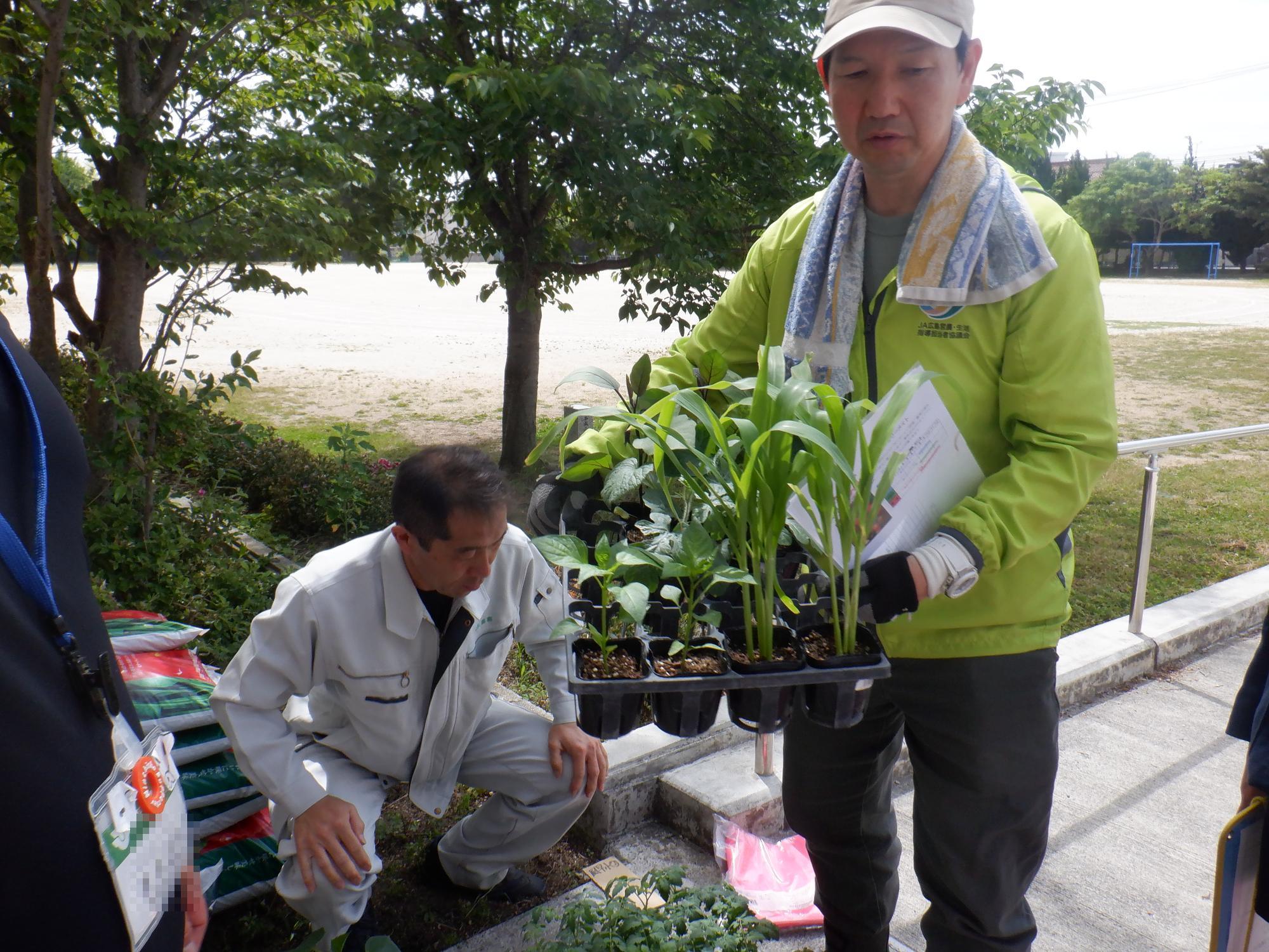 野菜の苗を持つJAひろしまの方々