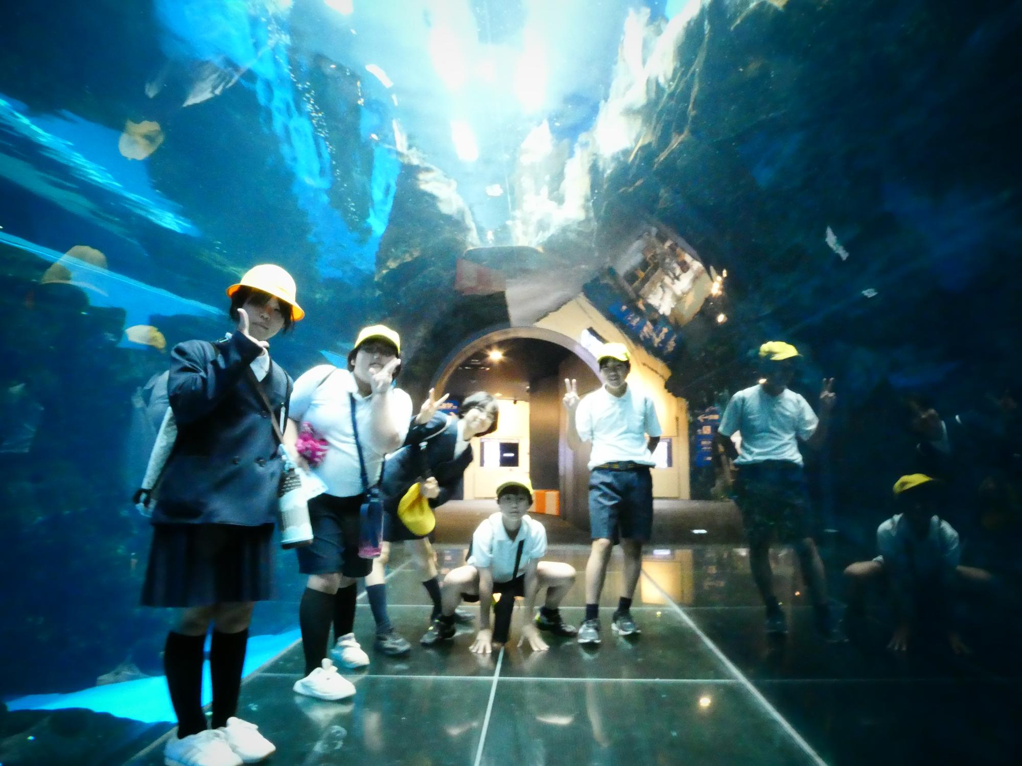 水族館での様子