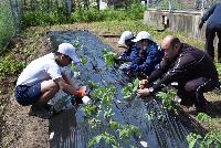 授業参観つばさ学級3生活