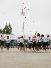 玉入れ激戦区界隈野