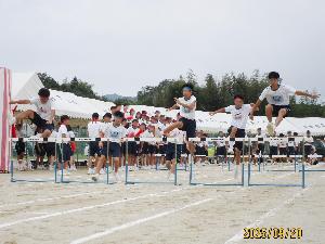 野を越え、山越え