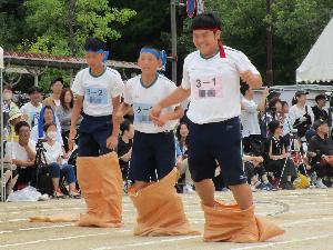 野を越え、山越え